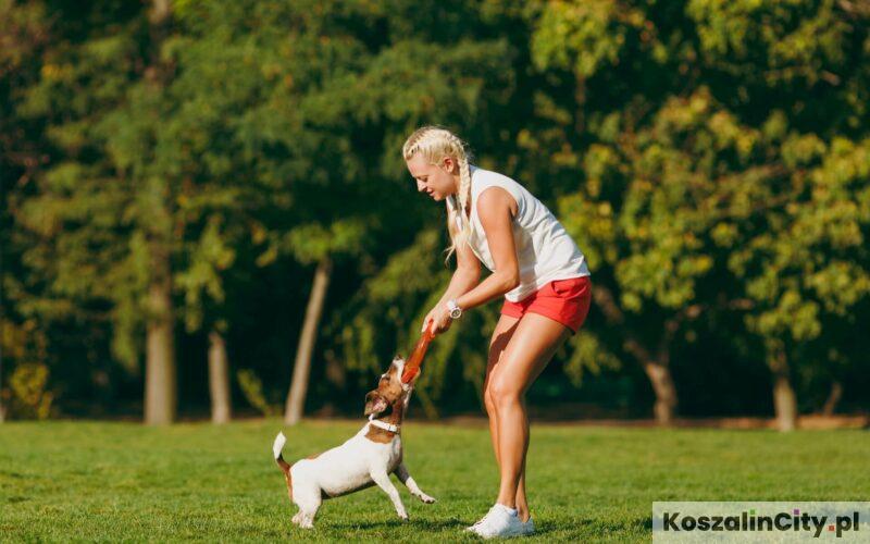 Wybiegi dla psów w Koszalinie