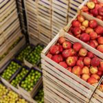 Rymowanki o bezpieczeństwie na wsi. KRUS ogłasza ogólnopolski konkurs dla dzieci