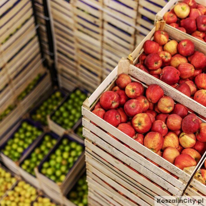Rymowanki o bezpieczeństwie na wsi. KRUS ogłasza ogólnopolski konkurs dla dzieci