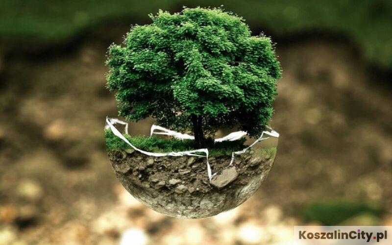 Ubezpieczenia na życie