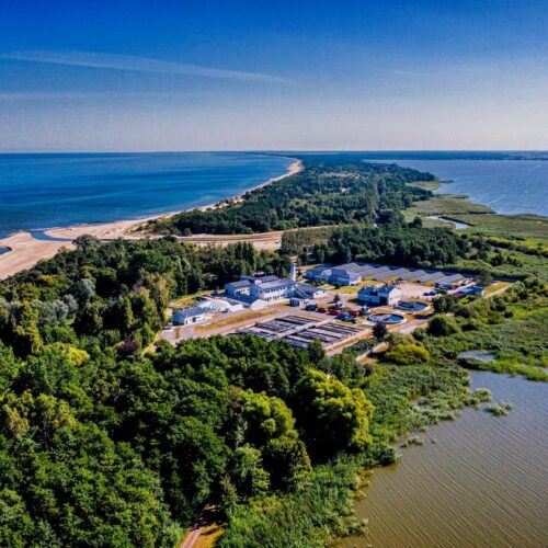 Zielony Feniks drugi rok z rzędu trafia do Gminy Mielno