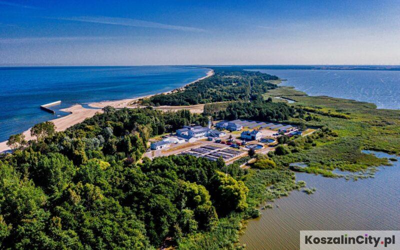 Zielony Feniks dla Gminy Mielno