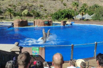 Palmitos Park w Maspalomas, czyli zoo z delfinami na Gran Canarii 🐬
