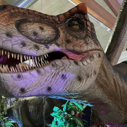 Dino Expo & Show, czyli dinozaury w Koszalinie! 🦖