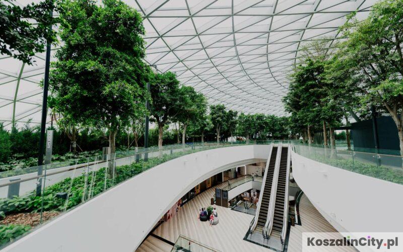 EkoFuturium w Koszalinie