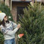 Żywe choinki w Koszalinie – gdzie kupić? 🎄