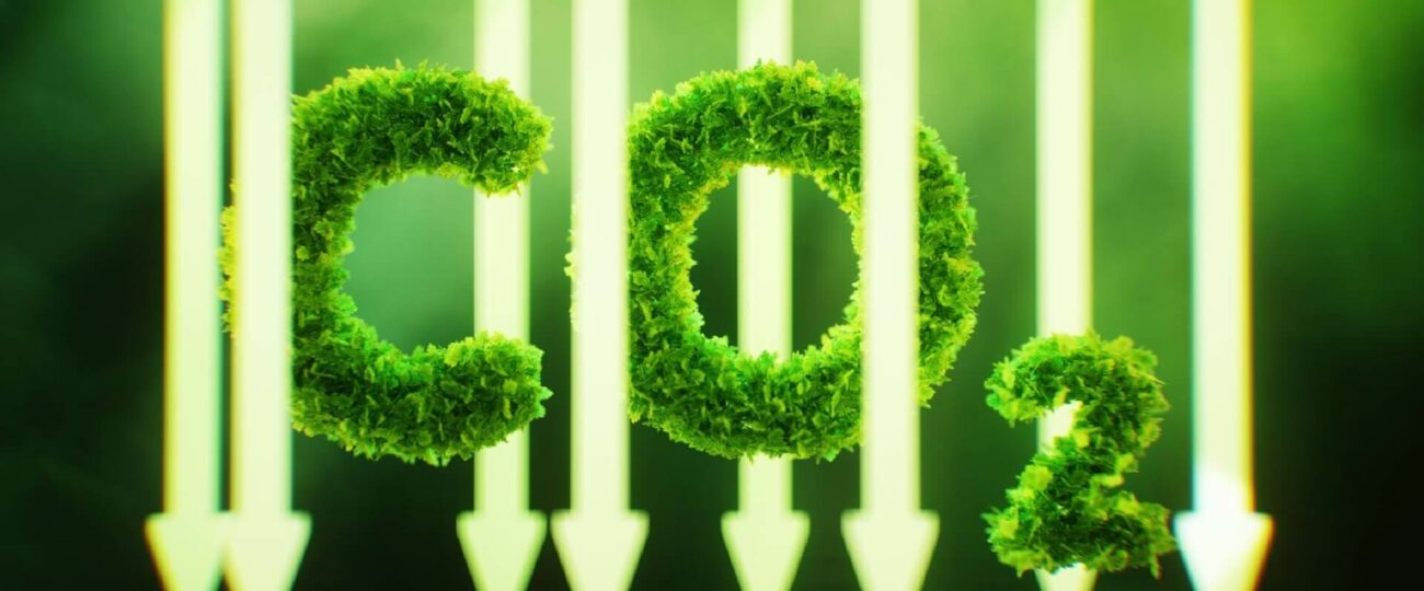 Koszalinianie zdominowali etap okręgowy Olimpiady Wiedzy Ekologicznej. Siedmioro finalistów pojedzie na szczebel krajowy