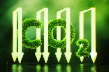 Koszalinianie zdominowali etap okręgowy Olimpiady Wiedzy Ekologicznej. Siedmioro finalistów pojedzie na szczebel krajowy