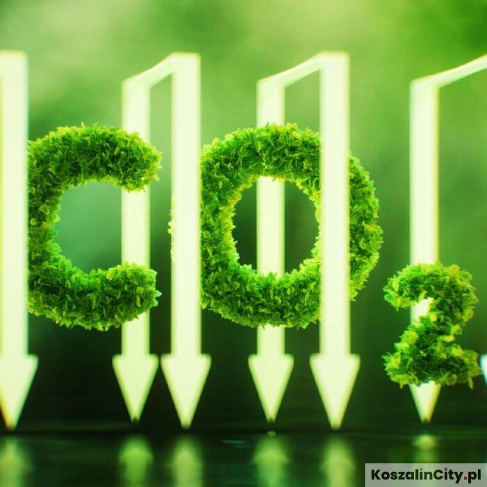 Koszalinianie zdominowali etap okręgowy Olimpiady Wiedzy Ekologicznej. Siedmioro finalistów pojedzie na szczebel krajowy