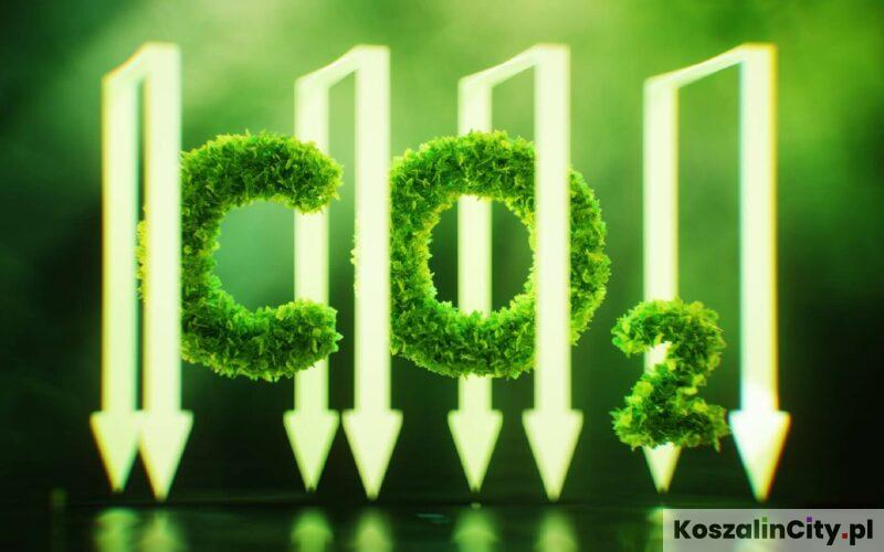 Ekologia i ochrona środowiska