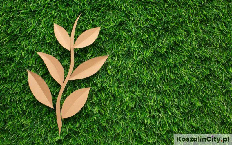 Ekologia w polskich miastach