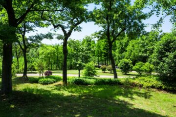 Nowogard stawia na edukację ekologiczną – milion złotych z Funduszy Europejskich na programy dla mieszkańców