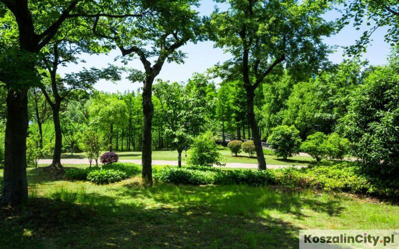 Ekologiczny park