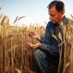 Rolnictwo w Koszalinie