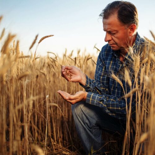 XXII edycja Konkursu Bezpieczne Gospodarstwo Rolne – szansa na wyróżnienie dla rolników