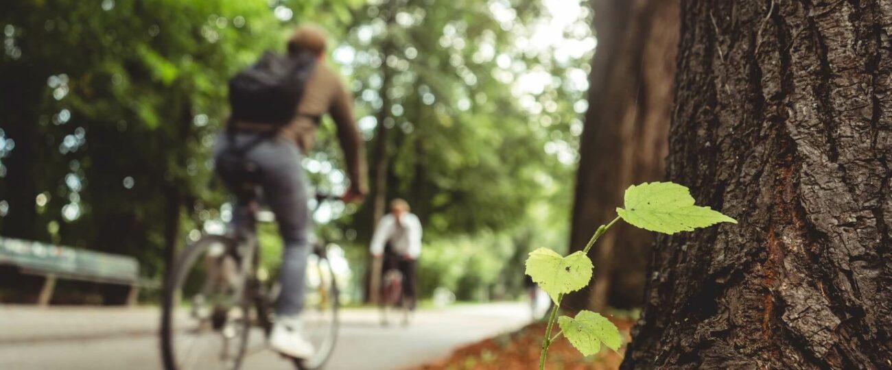 Wiosenna pogoda i rowerzyści na koszalińskich ulicach. Policja przypomina o kluczowych przepisach i ostrzega przed jazdą po alkoholu