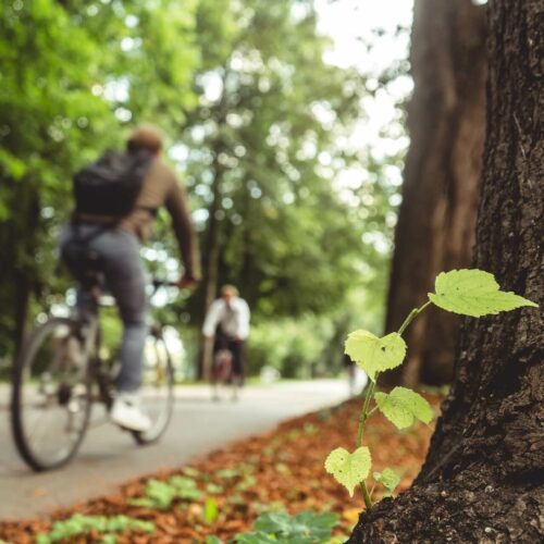 Bezpieczeństwo rowerzystów na drodze. O tym warto pamiętać!