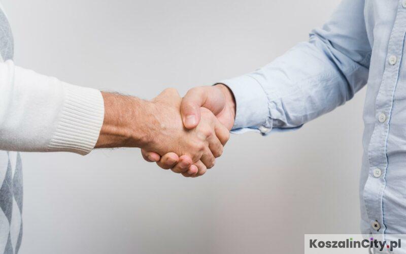 Współpraca i kooperacja