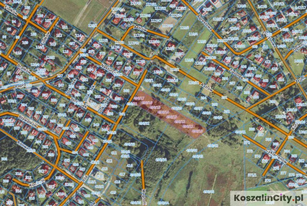 Działki Raduszka Przetarg Astrów