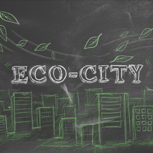 Na Pomorzu Zachodnim powstają ekologiczne murale. Gacek już gotowy