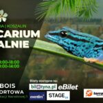 EXOTICARIUM w Koszalinie. Już wkrótce targi egzotycznych zwierzęt z całego świata!