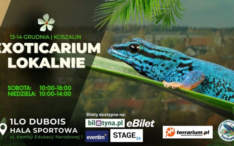 Exoticarium Lokalnie
