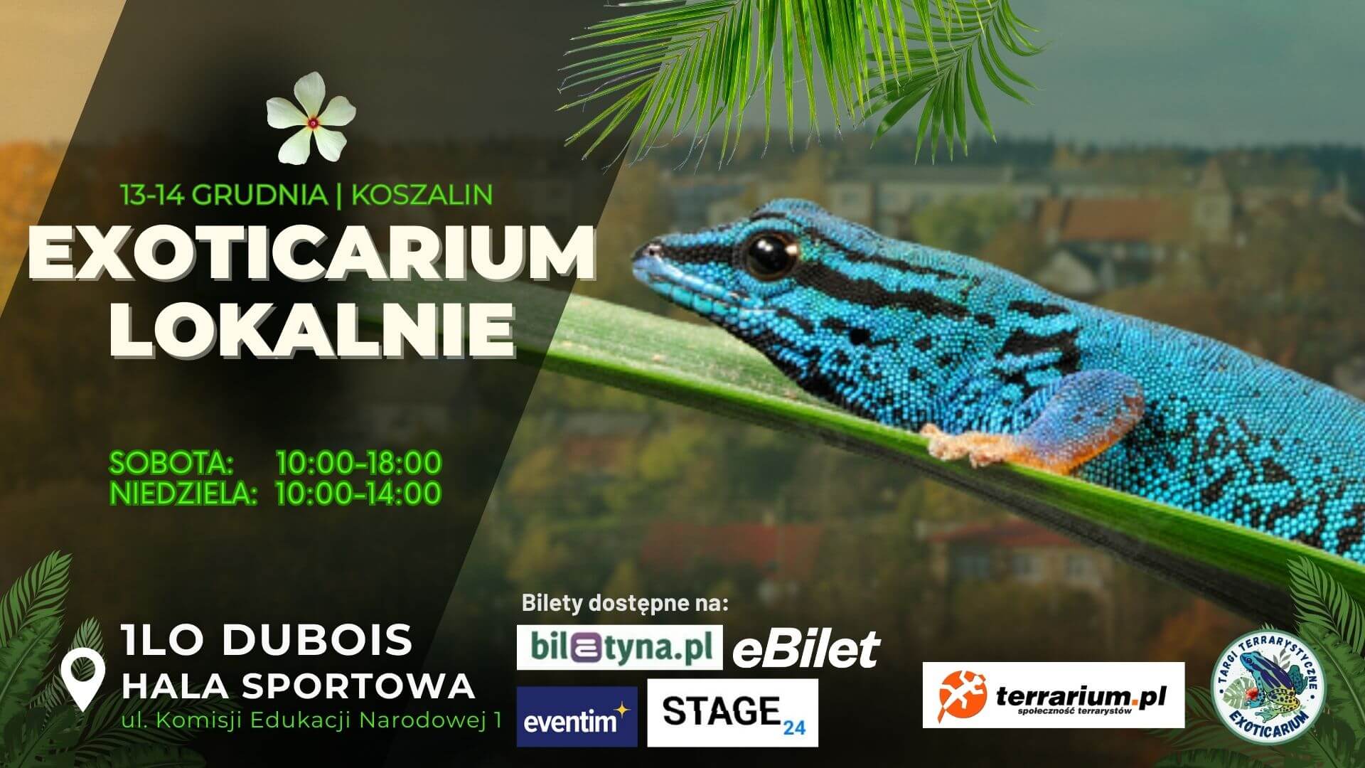 Exoticarium w Koszalinie - targi egzotycznych zwierząt z całego świata