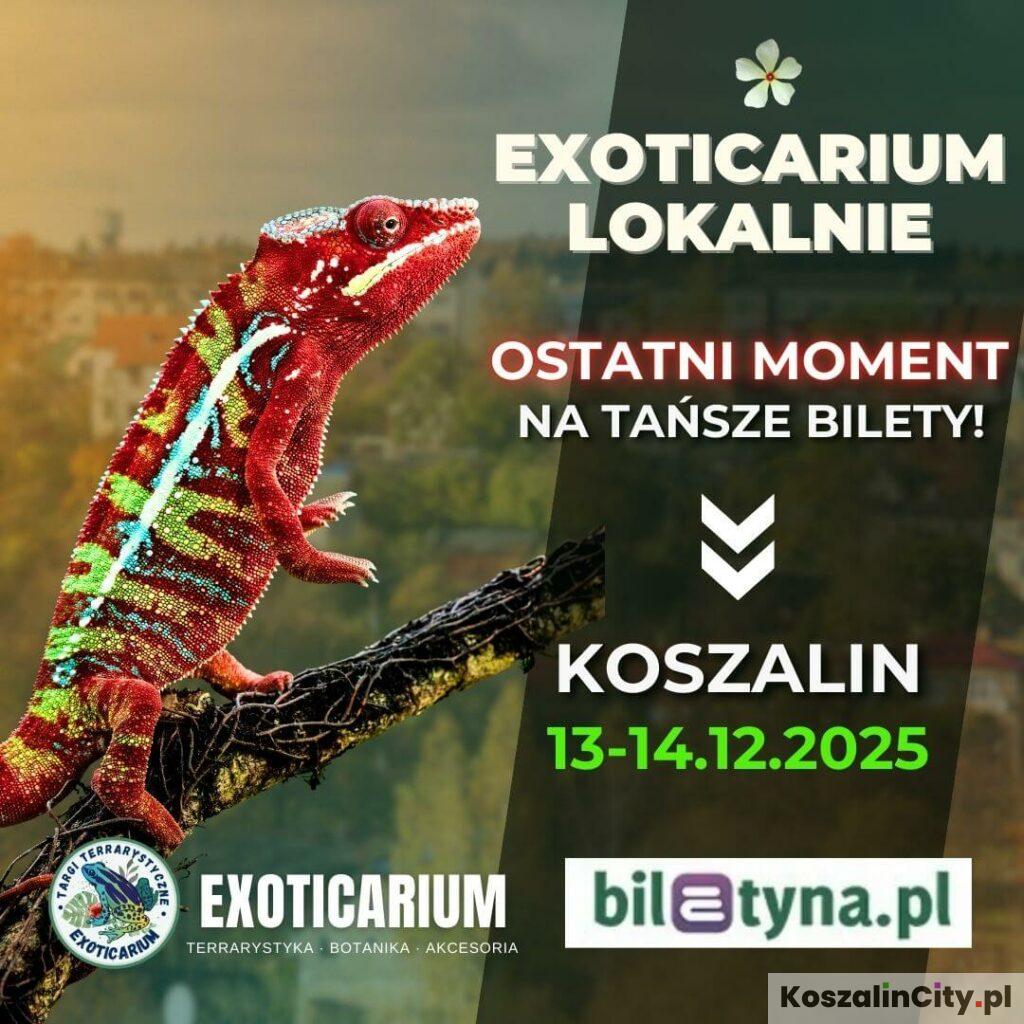 Exoticarium w Koszalinie