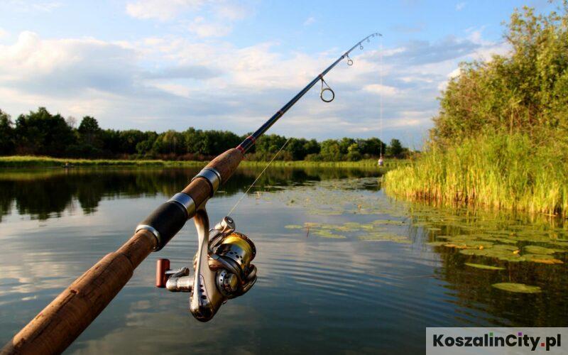 Kontrole wędkarzy i łowisk w Koszalinie