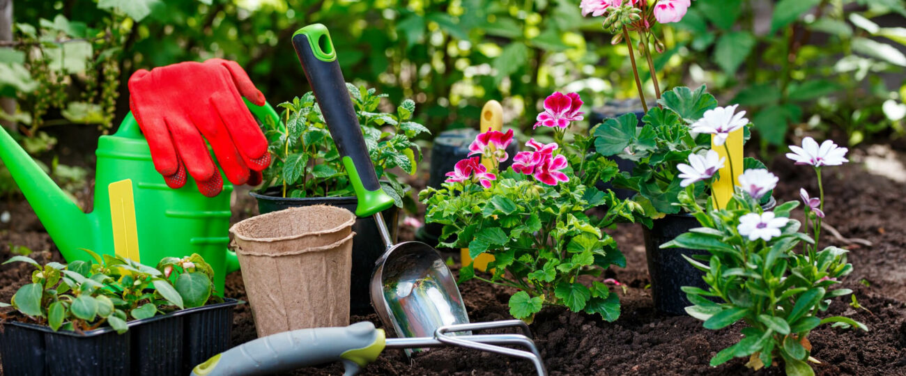 Konkurs “Przyjazne Ogrody 2026”: Działkowcy z regionu mogą wygrać nawet 40 tysięcy złotych