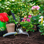 Bezpieczne ogrody przez cały rok – dzielnicowi z I komisariatu spotkali się z działkowcami ROD „Jamno”