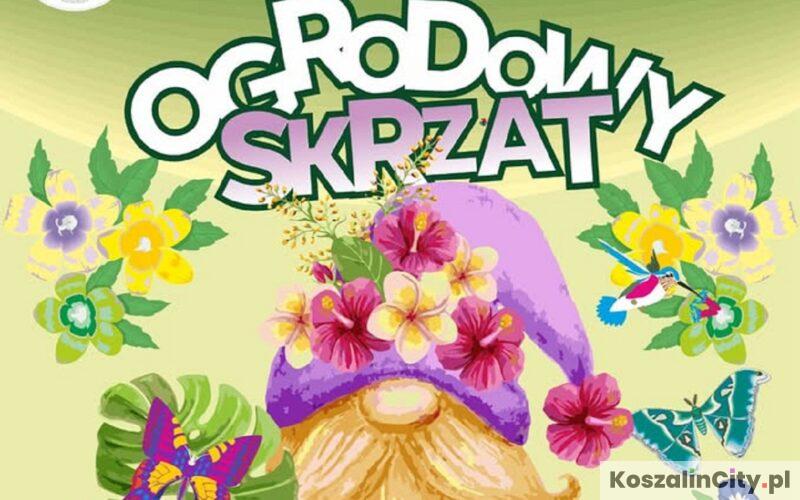 Ogrodowy skrzat - spektakl charytatywny dla Oli w BTD Koszalin