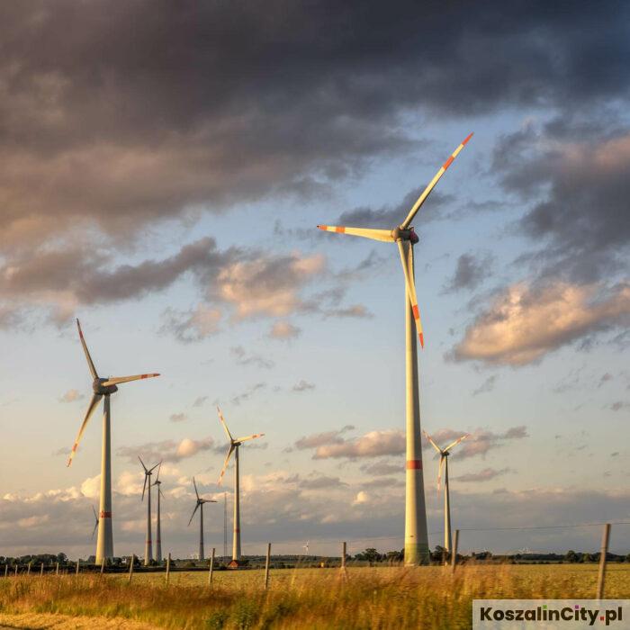 Obszary przyspieszonego rozwoju OZE kluczem do transformacji energetycznej regionu. Podsumowanie szczecinskiej konferencji