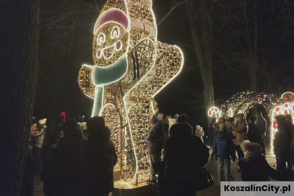 Ciastek ze Shreka jako iluminacja świąteczna w Koszalinie