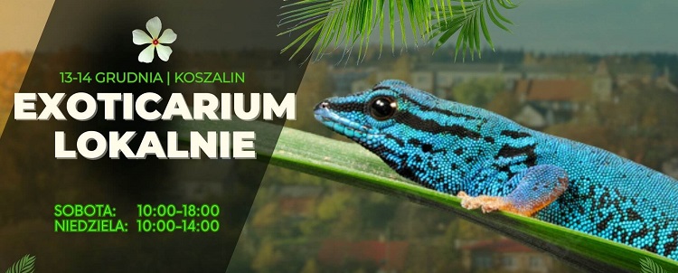 Exoticarium w Koszalinie - targi egzotycznych zwierząt z całego świata