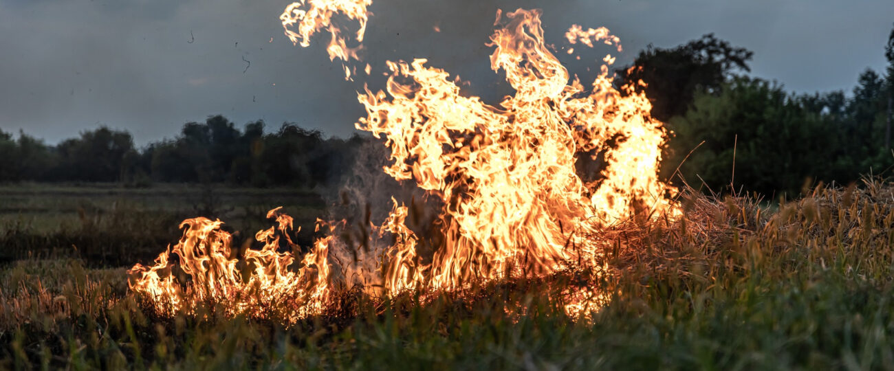 Wiosenne wypalanie traw. Policja ostrzega: to niebezpieczne i drogo kosztuje