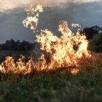 Wiosenne wypalanie traw. Policja ostrzega: to niebezpieczne i drogo kosztuje