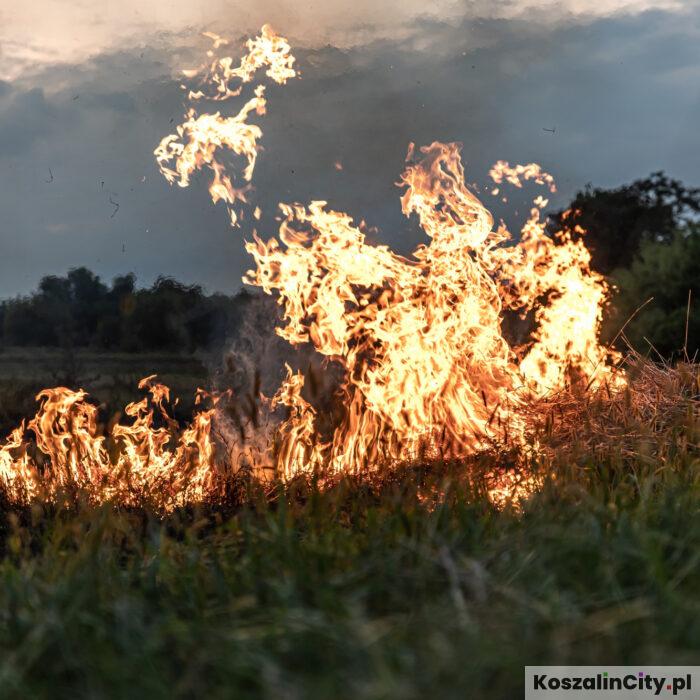 Wiosenne wypalanie traw. Policja ostrzega: to niebezpieczne i drogo kosztuje